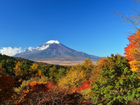 Góra, Fuji, Krzewy, Japonia, Wulkan