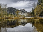 Stany Zjednoczone, Kalifornia, Park Narodowy Yosemite, Góry, Rzeka Merced, Drzewa, Człowiek, Odbicie