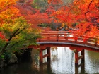 Park, Most, Jesień, Drzewa