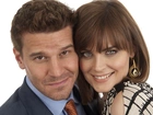 Aktorzy, Dawid Boreanaz, Emily Deschanel, Serial, Kości