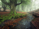 Hiszpania, Park Narodowy Gorbea, Las, Mgła, Potok, Drzewa