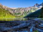 Stany Zjednoczone, Stan Montana, Park Narodowy Glacier, Jezioro Avalanche, Góry, Kłody