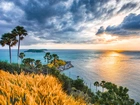 Tajlandia, Przylądek Phromthep, Morze Andamańskie, Chmury, Wschód słońca, Palmy