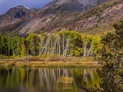 Stany Zjednoczone, Kalifornia, Jezioro Lundy Lake, Góry, Drzewa