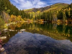 Stany Zjednoczone, Stan Kolorado, Jezioro Lizard Lake, Wzgórza, Jesień, Drzewa