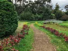 Sri Lanka, Nuwara Eliya, Victoria Park, Drzewa, Kwiaty, Mostek
