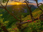 Ukraina, Góry Krymskie, Promienie słońca, Drzewa, Kwiatki