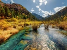 Chiny, Park Narodowy Jiuzhaigou, Jesień, Las, Góry, Jezioro Arrow Bamboo, Drzewa