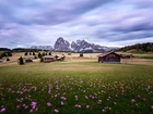 Włochy, Dolina Val Gardena, Góry, Dolomity, Łąka, Kwiaty, Domy