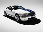 2008 Shelby GT500 KR