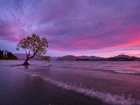 Nowa Zelandia, Jezioro Wanaka, Pochylone, Drzewo, Zachód słońca, Wzgórza