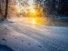 Finlandia, Zima, Wschód słońca, Drzewa, Rzeka, Potok Langinkoski