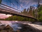 Finlandia, Rzeka Neitijoki, Bystrze Haapavitja, Most, Drzewa