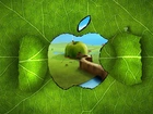Zielone, Logo, Apple, 3D