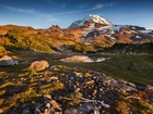 Stany Zjednoczone, Stan Waszyngton, Góry Kaskadowe, Startowulkan Mount Rainier, Kamienie, Drzewa