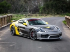 Vorsteiner Porsche Cayman GT4 V CS Aero 981C, 2016