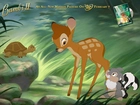 Bambi 2, żółw, królik, skunks