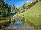 Jezioro Seealpsee, Góry Alpy, Kamienie, Drzewa, Kanton Appenzell Innerrhoden, Szwajcaria