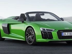 Zielone, Audi R8 Spyder V10 Plus, 2017