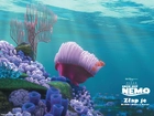rafa, dno, Gdzie Jest Nemo