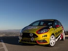 Rajdowy, Ford Fiesta ST, 2015