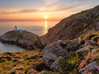 Walia, Wyspa South Stack, Latarnia morska South Stack Lighthouse, Morze Irlandzkie, Skały, Wschód słońca, Kwiaty