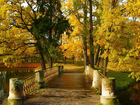 Park, Jesień, Drzewa, Mostek