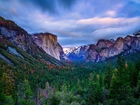 Stany Zjednoczone, Kalifornia, Park Narodowy Yosemite, Góry, Las, Drzewa, Mgła