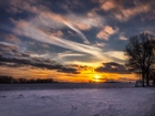 Zima, Pole, Drzewa, Zachód słońca, Chmury