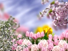 Wiosna, Kwiaty, Grafika