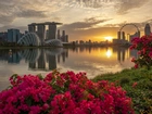 Zatoka Marina Bay, Hotel Marina Bay Sands, Wieżowce, Singapur, Most, Rzeka, Kwiaty, Zachód słońca