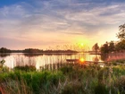 Jezioro Hoornsemeer, Zachód słońca, Trzciny, Szuwary, Pomost, Trawa, Prowincja Groningen, Holandia