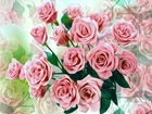 Kwiaty, Róże, Bukiet, 2D, Kolorowe tło