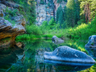 Stany Zjednoczone, Arizona, Obszar West Clear Creek Wilderness, Wąwóz West Clear Creek Canyon,  Kamienie, Drzewa, Skały