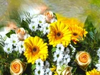 Kwiaty, Gerbery, Róże, Chryzantemy, Bukiet, Grafika