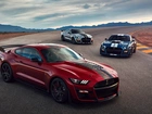 Trzy, Samochody, Ford Mustang Shelby GT500