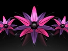 Grafika 3D, Trzy, Kwiaty