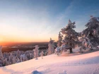 Zima, Drzewa, Zachód słońca, Park Narodowy Riisitunturi, Laponia, Finlandia