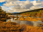 Jesień, Jezioro, Drzewa, Lasy, Park Narodowy Hardangervidda, Norwegia