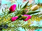 Kwiaty, Tulipan, Róże, Pąki