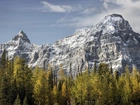 Kanada, Park Narodowy Banff, Szczyt Castle Mountain, Góry, Drzewa