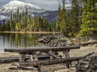 Stany Zjednoczone, Stan Waszyngton, Park Stanowy Lake Wenatchee, Góry, Jezioro, Drzewa, Ławki