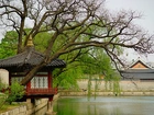 Pałac, Korea, Południowa, Drzewo, Jezioro