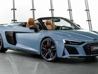 Audi R8 Spyder Performance