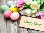 Wielkanoc, Kolorowe, Pisanki, Tulipany, Kartka, Napis, Happy Easter