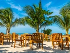 Stoliki, Krzesła, Palmy, Plaża, Morze