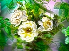 Kwiaty, Białe, Róże, Woda, Grafika