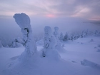 Zima, Góry, Zaśnieżone, Drzewa, Mgła, Finlandia