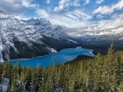 Park Narodowy Banff, Góry Canadian Rockies, Jezioro Peyto Lake, Lasy, Drzewa, Zima, Kanada