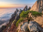 Góry, Skały, Sosna, Mgła, Góra Dobongsan, Park Narodowy Bukhansan, Prowincja Gyeonggi-do, Korea Południowa